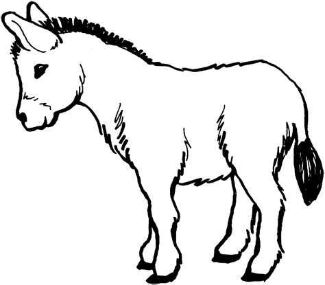 photos of donkey|free printable pictures of donkeys.